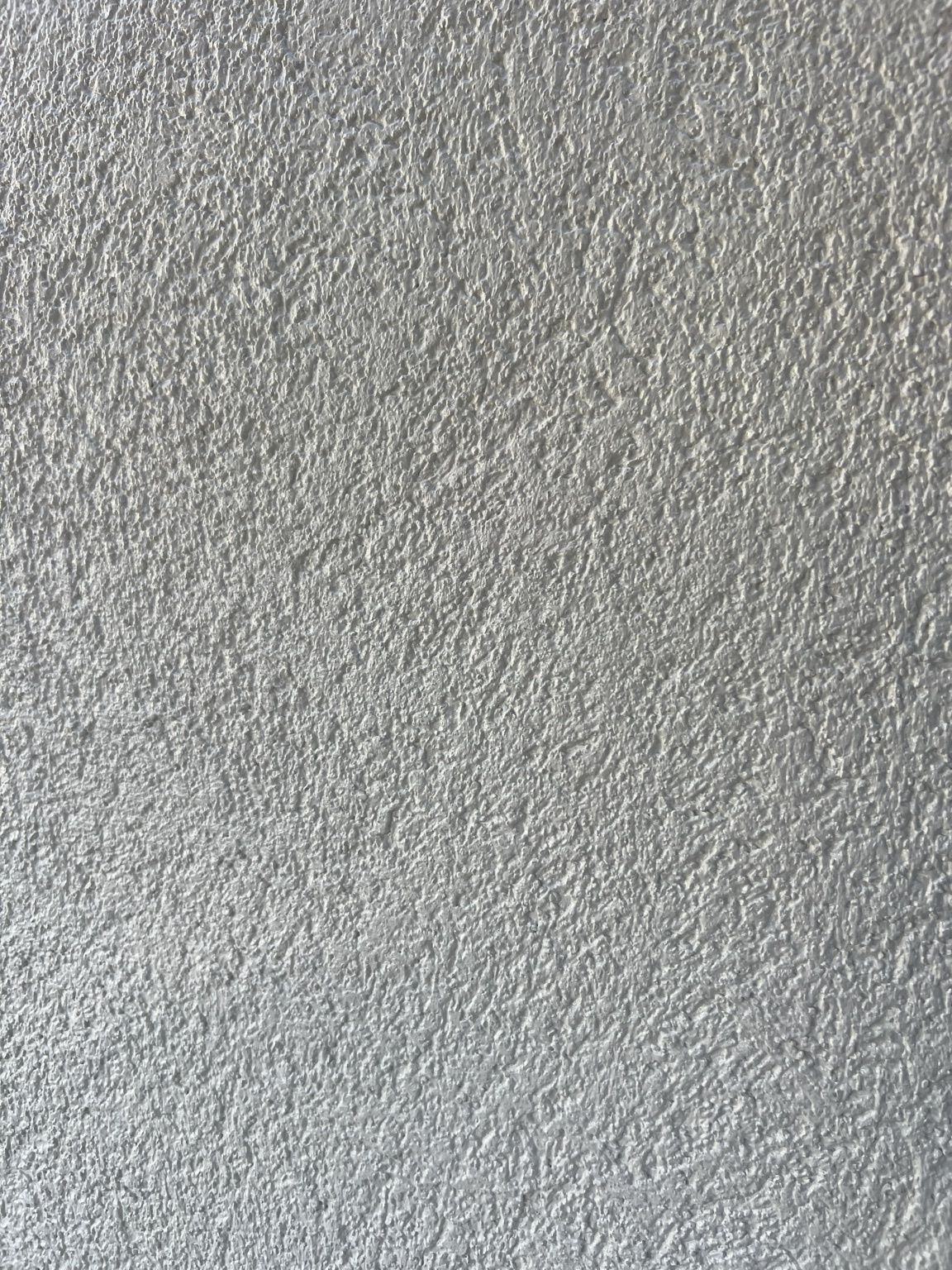 Close-up of a completed Vale Render job showing 1.5 mm silicone render grain detail